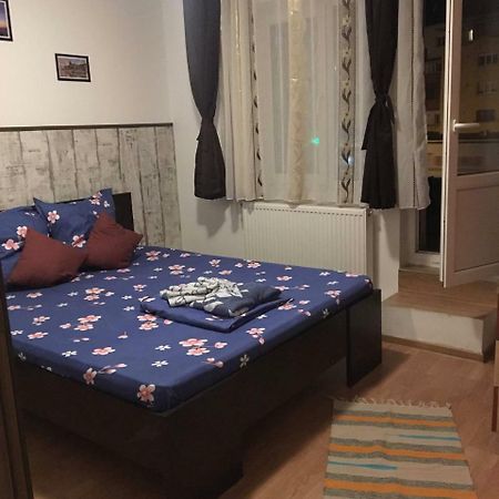 Apartament Anca Apartman Aknavásár Kültér fotó