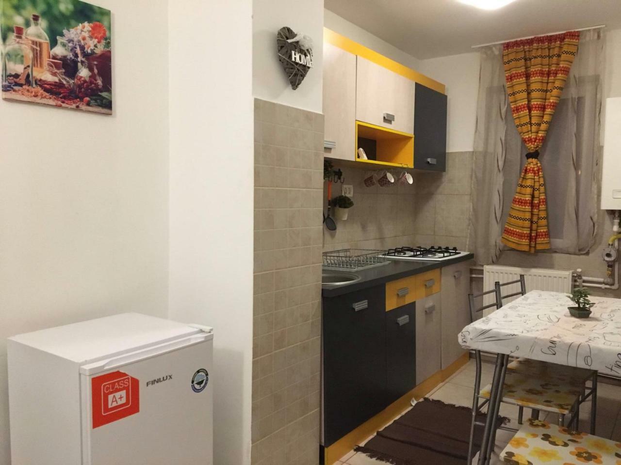 Apartament Anca Apartman Aknavásár Kültér fotó