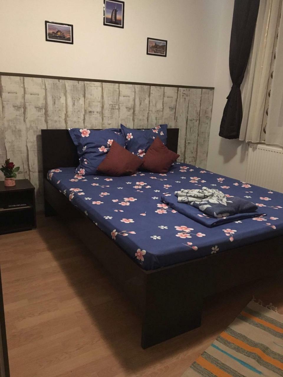 Apartament Anca Apartman Aknavásár Kültér fotó