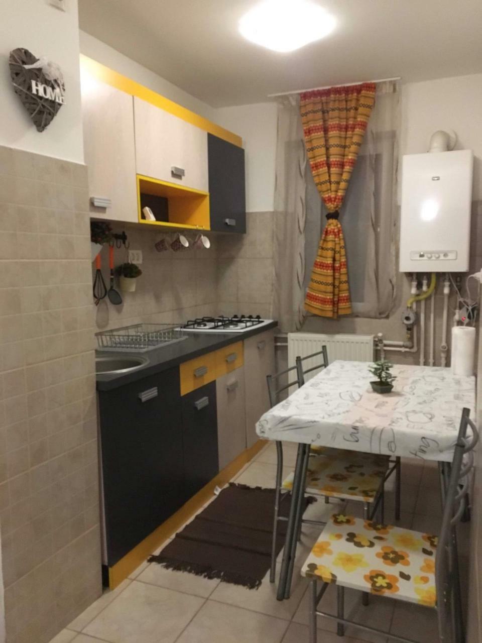 Apartament Anca Apartman Aknavásár Kültér fotó